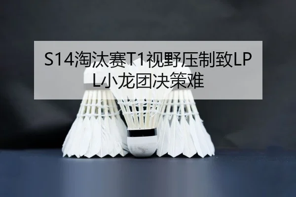 tao-tai-sai-shi-ye-ya-zhi-zhi-xiao-long-tuan-jue-ce-nan-2-896.jpg